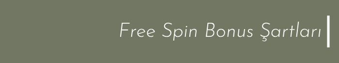 Free Spin Bonus Şartları